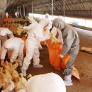 현경농장 이미지