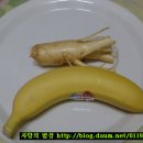 엄마주스 이미지