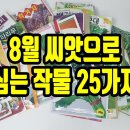 8월 씨앗으로 심는 작물 25가지 이미지