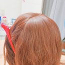 헤어모모코 이미지