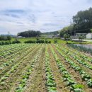 임리농장 이미지