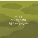 리브베 이미지