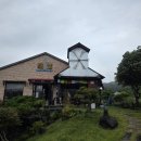 동네찻집 | 동네 사랑방 같은 시골길 옆 찻집, 하동 알프스 밀밭