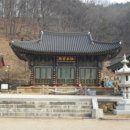 영천오이소 이미지
