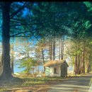 숲속마을파도소리 | [밴쿠버 아일랜드] 빛의 결이 다른 숲과 바다, 유토피아가 지나간 맬컴섬의 고요.🐳🐳