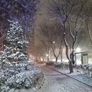 남판교 공인중개사사무소 이미지