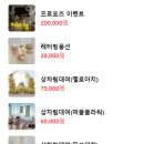 체온스냅 이미지