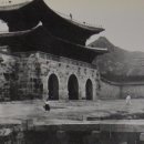 세종로 Daum카페