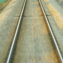 춘천명동닭갈비 이미지