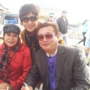 웅치농장 Daum카페