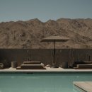 Little Bear Big Trip 이미지