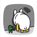 탐스짐 이미지