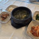 속초 물회 성게비빔밥 맛집 추천 "속초어장물회" 찐 후기