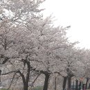 내장산캠핑카 이미지
