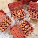 푸름농장2 이미지