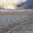 만평식당 이미지