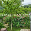 대청농장 이미지