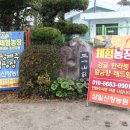 삼일산장 이미지