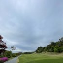 (주)스카이비 네이버블로그