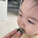 맘마찬원주점 네이버블로그