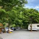 무릉도원면-22 이미지