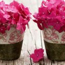 적성면사무소 이미지