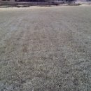 잔디 농장 이미지