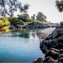 지영상회 이미지