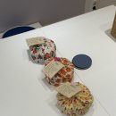 제주 동쪽 뚜벅이 여행 (2일차, 종달과 한동)