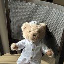 Teddy Fitness 이미지