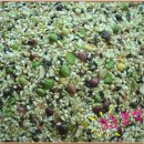 임마누엘농장 이미지