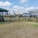 댕댕놀이터 이미지