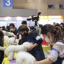 몽블리스 이미지