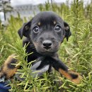 만지1길 이미지