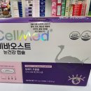 세계로메디칼약국 이미지