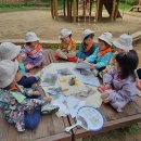 오금숲어린이집 이미지