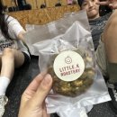 노가리비