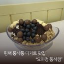 평택 아이스크림 디저트 맛집! 요거트아이스크림의정석 평택동삭점 과일토핑 가득 후기