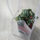 남목초등학교병설유치원 이미지