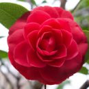 반월주공마트 이미지