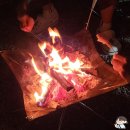충남 태안 바다랑 캠핑장 이용 후기