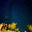 하늘바람별의집 이미지