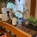 메밀꽃일다 이미지