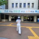30 | 생애 첫 경매 입찰 도전기 부산 금정구 빌라 경매 동행 후기
