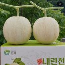 일광농원 이미지