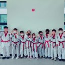 용인대용진태권도장 이미지
