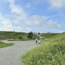 용안 농장 이미지