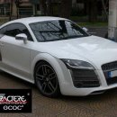 바디스타일 이미지