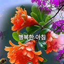 지혜로운(知) 사람과 어진(仁) 사람의 비교 이미지