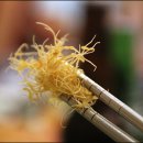 명품샤브샤브 이미지